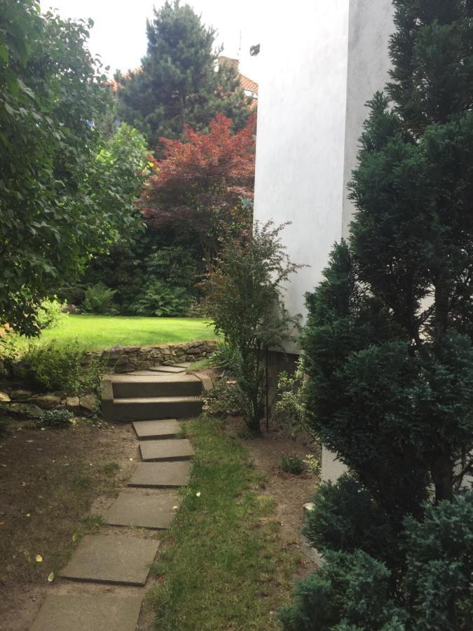 Blue In Beautiful Style Garden With Atmosphere Praga